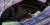8302_4.jpg